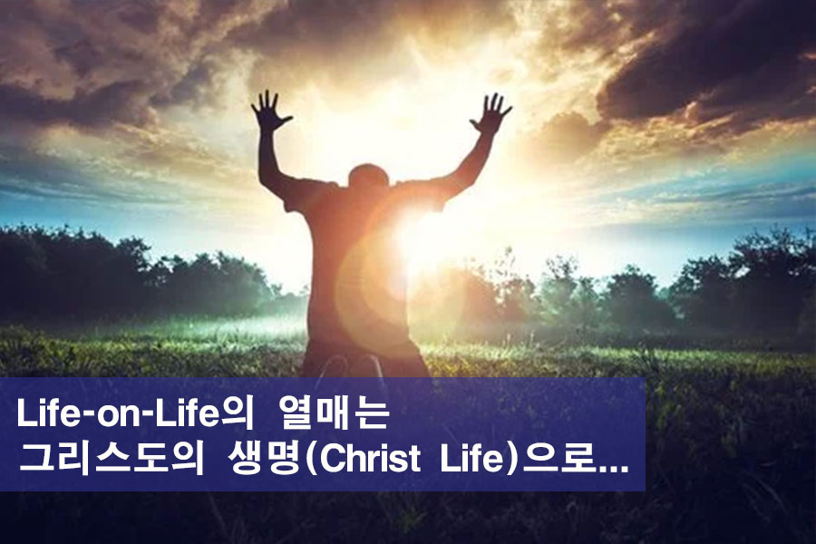 Life-on-Life의 열매는 그리스도의 생명(Christ Life)으로…