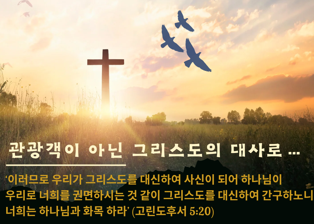 뉴스레터 2024-9월 2일